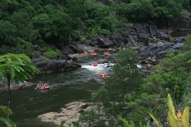 Half-day Barron River white-water rafting